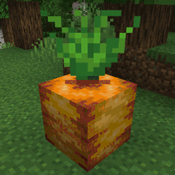 Obese Crops - Minecraft Mods - CurseForge