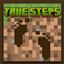 True Steps logo