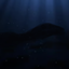 The Sunken Silence logo