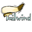 DynamicX's Tailwind logo