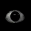 Eyes logo