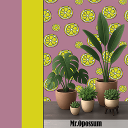 Mr.Opossum lemons wallpaper