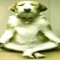 RomeCraft Evolution logo