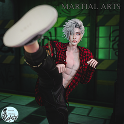 Martial arts