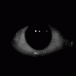  The One Eyed logo