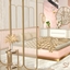 Pastel Pink Art Deco -Room logo