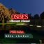 OSBES lite vibrant visuals logo