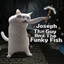 Joseph The Guy And The Funky Fish logo