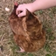 Mycelium & Meadow logo