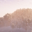 Reckless's Winter logo