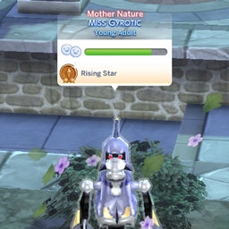 Enchanted by Nature Careers And NPCs