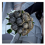 [L4D] MC - WEDDING HAIR V3 (UPDATED FIX) logo