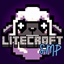 LiteCraft SMP logo