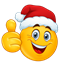 Wintergang logo