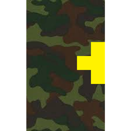 Camo Doors project image