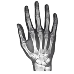 X-Ray Pack By Lakoshi_Gaming logo