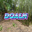 Doaln Pack logo