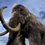 best mammoth 2 logo