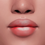 cosmosim lipstick N34 old logo