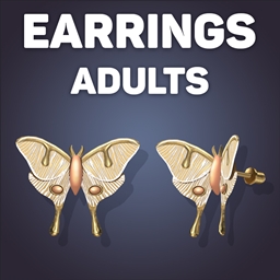 Moth Stud Earrings logo
