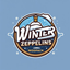 Winter Zeppelins logo