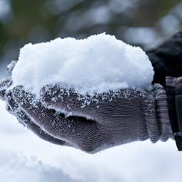 Sleet Paste project image