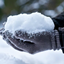 Sleet Paste logo