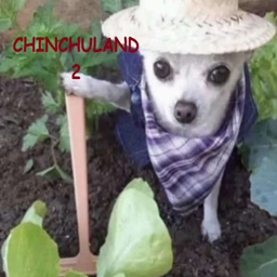 CHINCHULAND 2 logo