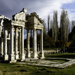 antic survival project image