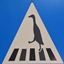 BHV is Back logo