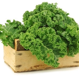 VeggieBros Server Modpack project image