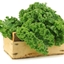 VeggieBros Server Modpack logo