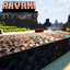 Arvani Textures logo