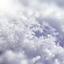 NicoYoda Winter Server 2025 logo