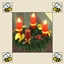 Advent Wreath logo