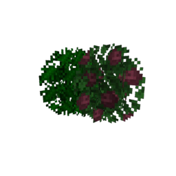 Isle of Berk bushy leaves logo
