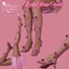 Roses Strap Heels | Elegant Walks logo