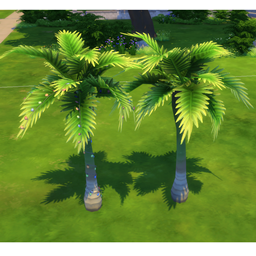 Deck The Palms Palm Tree (Early Unlock) logo