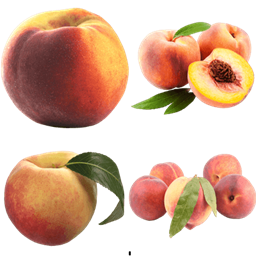 VaultMapple project image