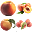 MappleTexture logo