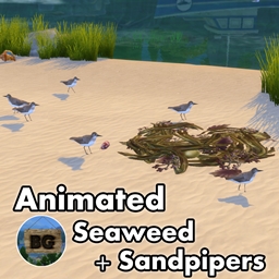 Animated Seaweed + Sandpipers ~ Bird ~ Animal ~ Sandpiper ~ Pet logo