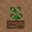 Replant+ logo