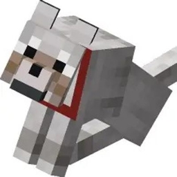puppy dimension project image