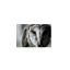 Server 2.0 Local logo
