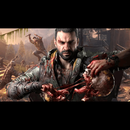 Dying Light The Beast project image