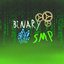 BinarySMP logo