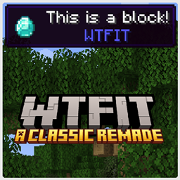 WTFIT project image