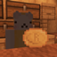 ShouShy's coins logo