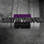 Spider's Lost In The Fog Reforged logo