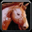 LibMountInfo logo